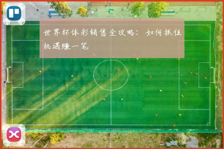 世界杯体彩销售全攻略：如何抓住机遇赚一笔