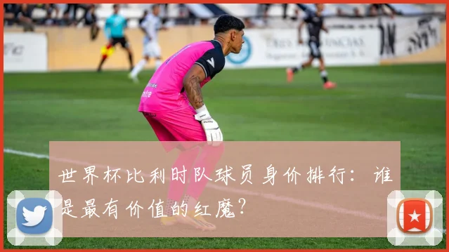 世界杯比利时队球员身价排行：谁是最有价值的红魔？